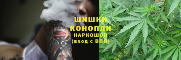 прущий лед Сосновка