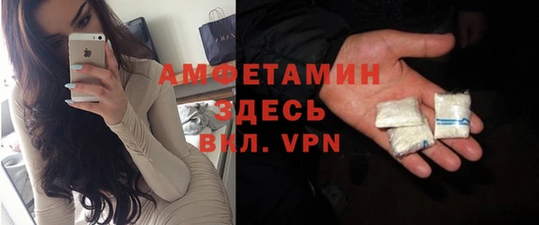 твердый Сосновый Бор