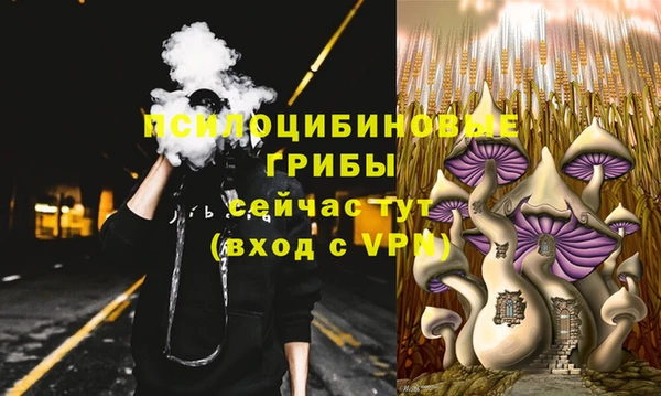 ГАЛЛЮЦИНОГЕННЫЕ ГРИБЫ Сосновоборск