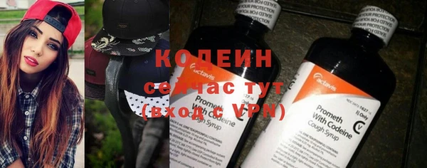 твердый Сосновый Бор