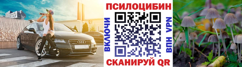 Псилоцибиновые грибы ЛСД  Цоци-Юрт 